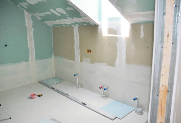 Best Mold Prevention Services  in Gibson City, IL