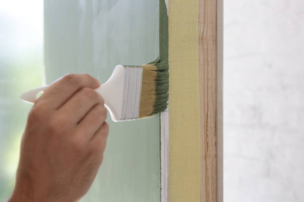 Best Water Damage & Mold Remediation  in Gibson City, IL
