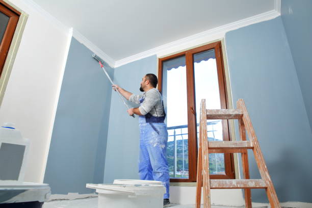 Best Environmental Consulting for Mold Prevention  in Gibson City, IL