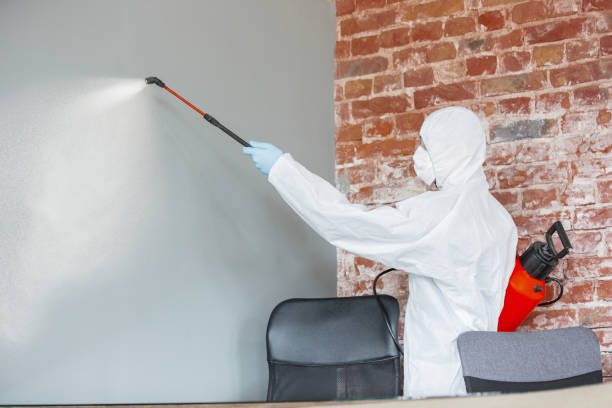  Gibson City, IL Mold Removal Pros