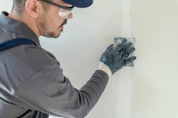 Best Mold Removal for HVAC Installations  in Gibson City, IL