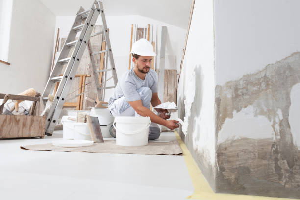 Best Black Mold Removal  in Gibson City, IL