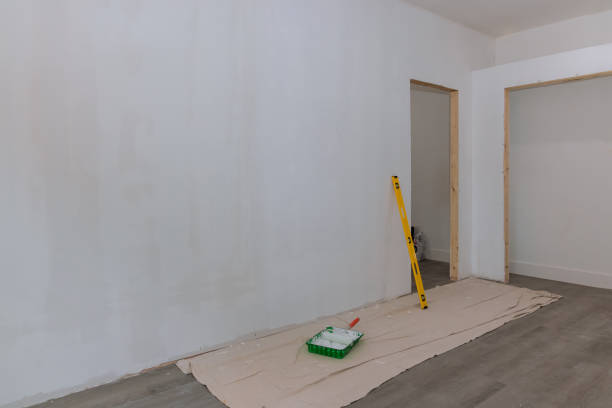 Best Mold Damage Restoration  in Gibson City, IL
