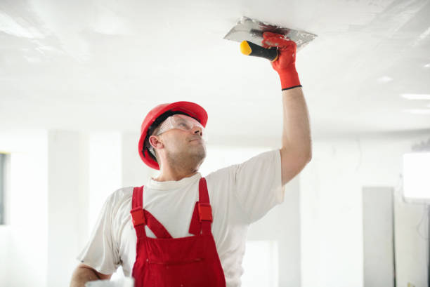 Best Indoor Air Quality Assessment  in Gibson City, IL