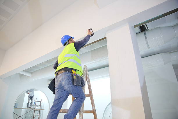 Best Basement Mold Removal  in Gibson City, IL
