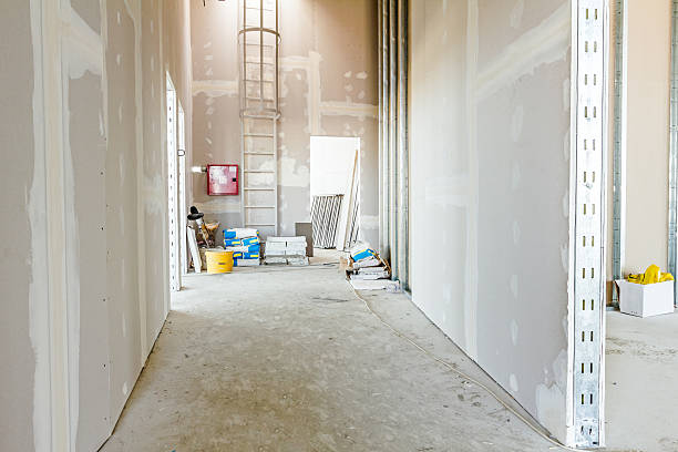 Best Mold Documentation for Insurance Claims  in Gibson City, IL
