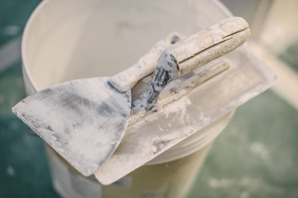 Best Dehumidification Services  in Gibson City, IL